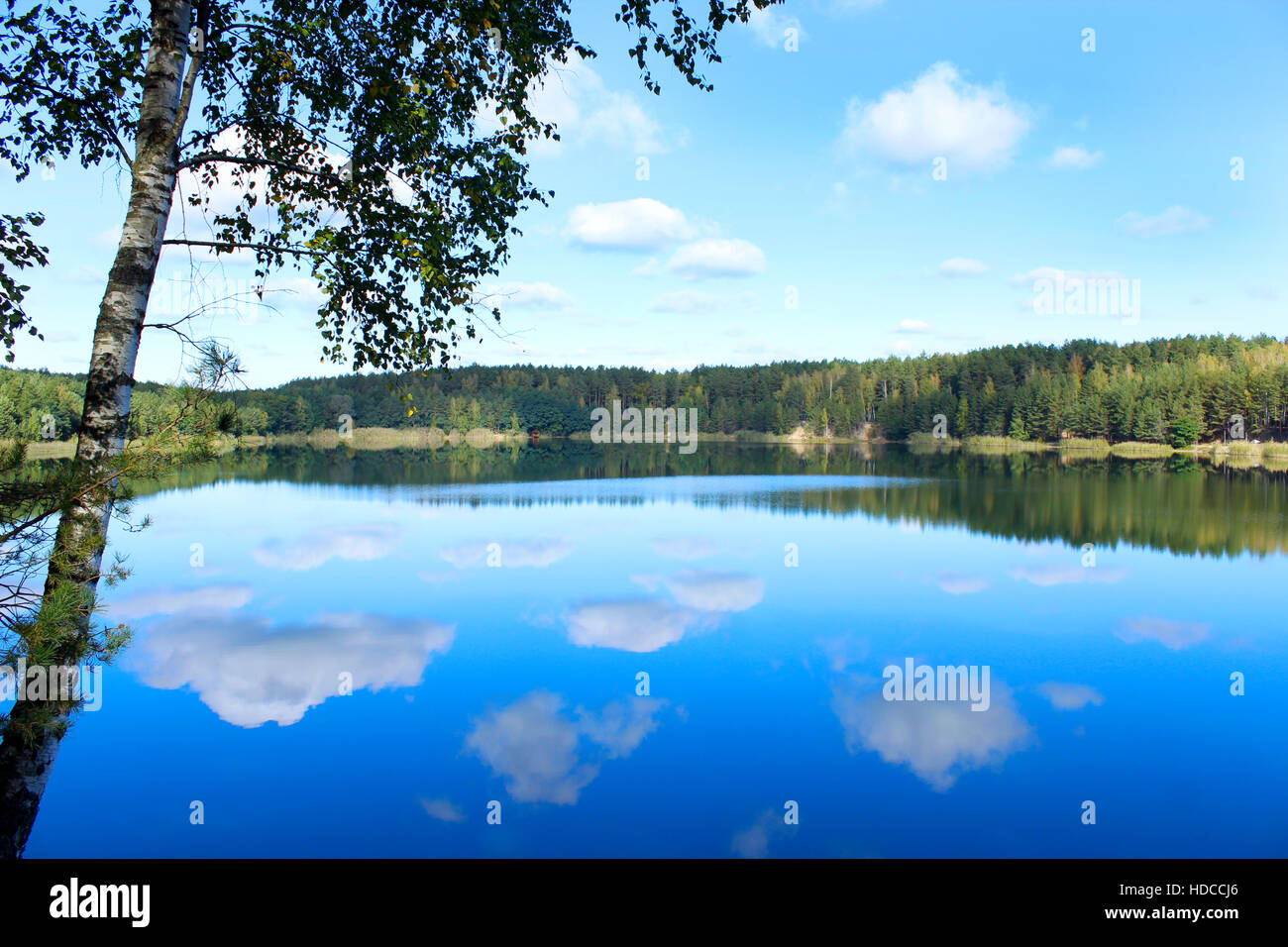 landscape with picturesque lake in the forest and reflection on the