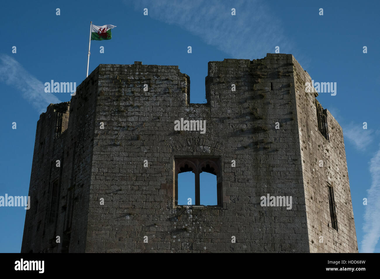 Welsh flag flying above stone castle tower, Wye Valley Stock Photo