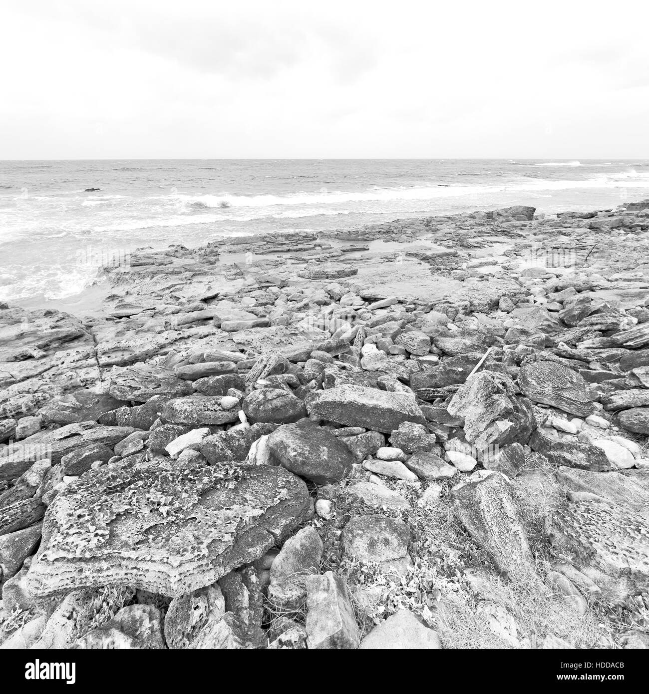 blur in south africa   sky ocean  isimagaliso reserve nature and rocks Stock Photo