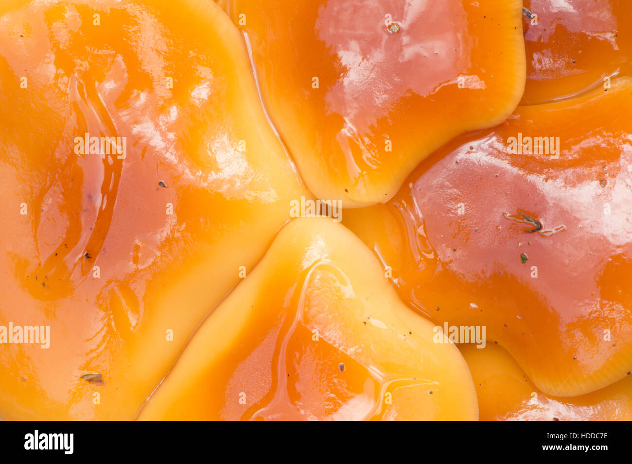 The Velvet Shank (Flammulina velutipes) November, Growing on cut tree