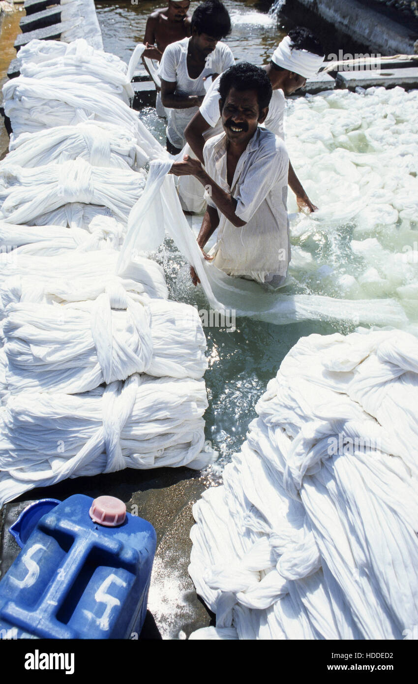 INDIA, Tamil Nadu, Tirupur, textile factory, worker bleach cotton fabric with chemical agents Stock Photo