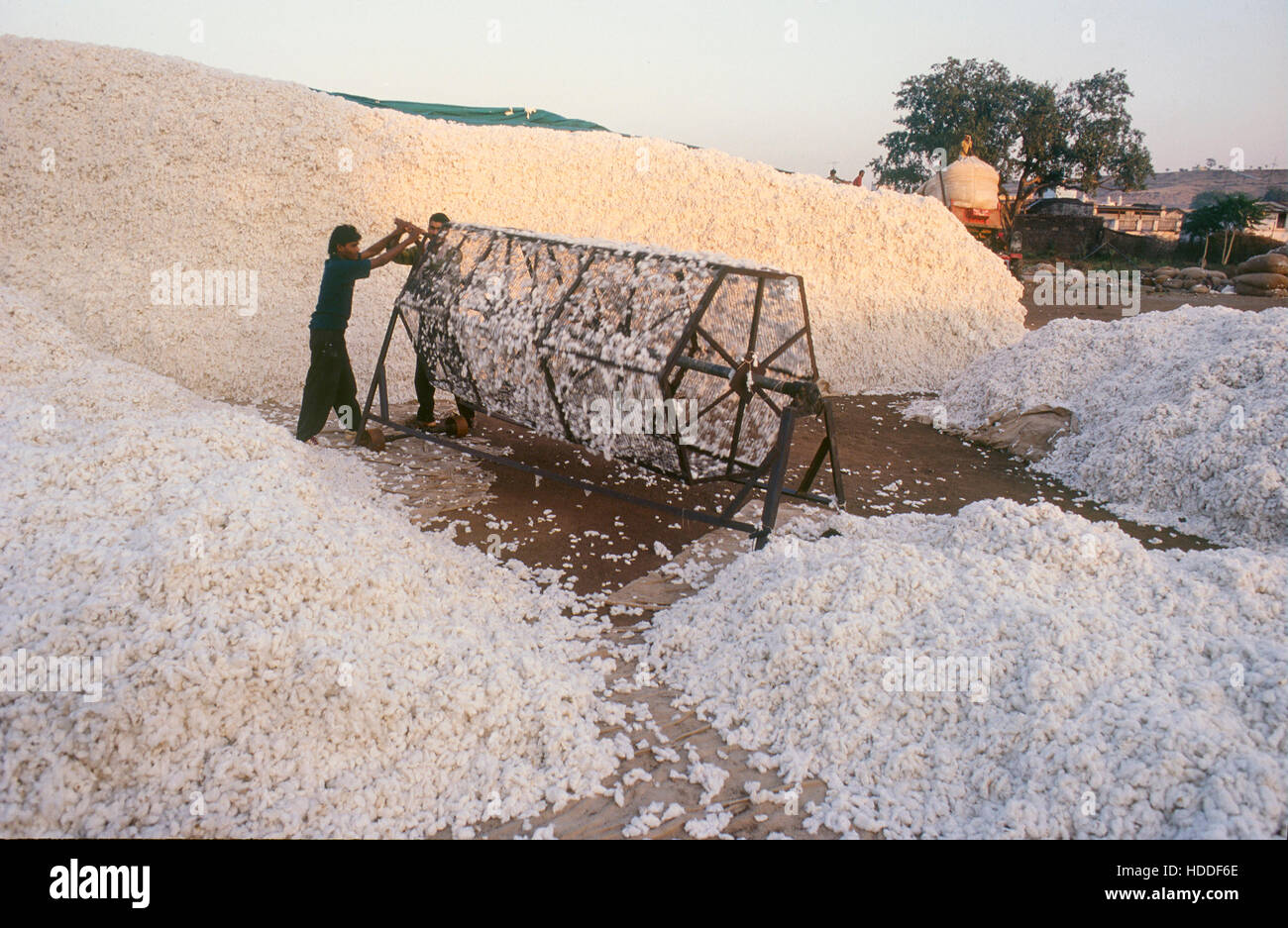 INDIA, Madhya Pradesh, Kasrawad, cotton ginning factory, precleaning