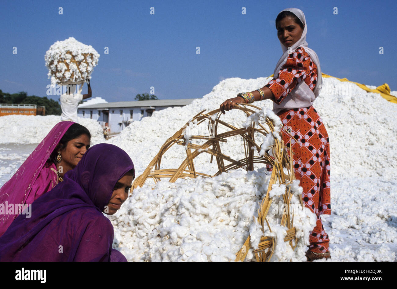 Cotton ginning hires stock photography and images Alamy