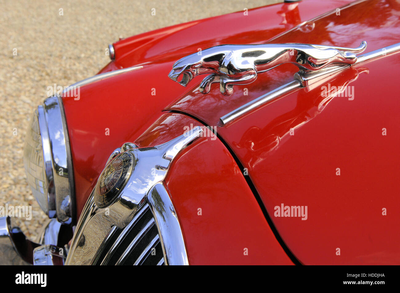 Red Jaguar Mk2 V6 bonnet mascot Stock Photo