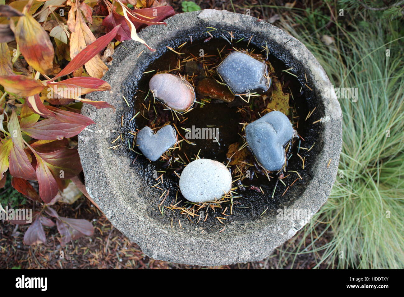 Bird Bath Rocks rocks in a bird bath Stock Photo - Alamy