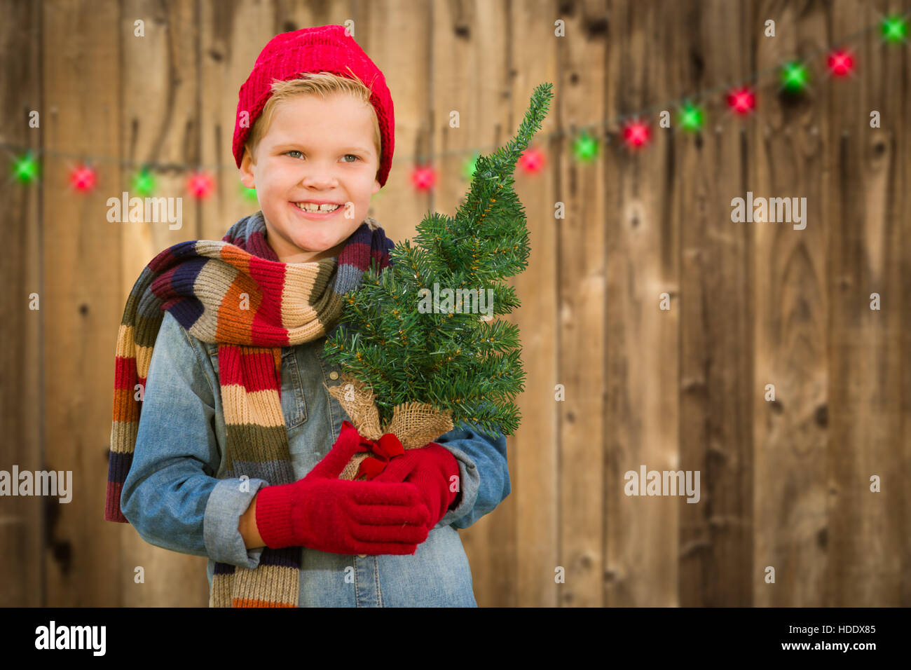 Happy Young Boy Wearing Scarf and Mittens Holding Christmas Tree On A Wood Fence Background. Stock Photo