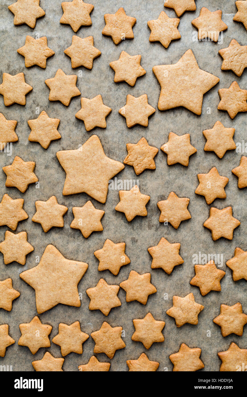 Gingerbread cookies as stars shape for Christmas, on a parchment