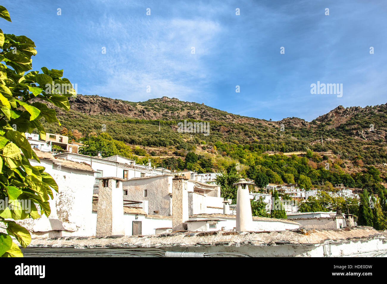 Flat roofs hi-res stock photography and images - Alamy