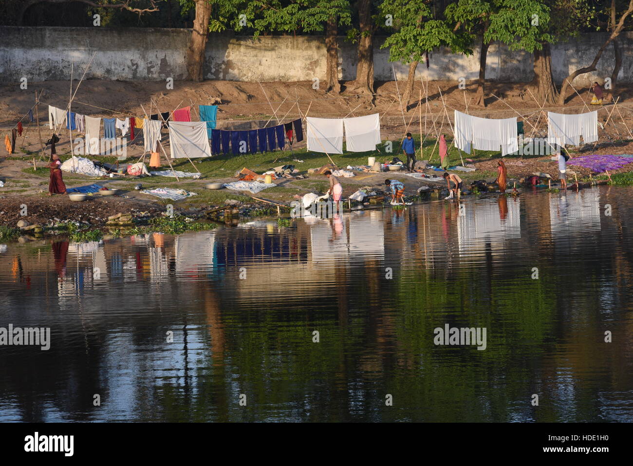 An Indian washerman of a local laundry washing clothes on the bank of a lake in Muzaffarpur, India. Stock Photo