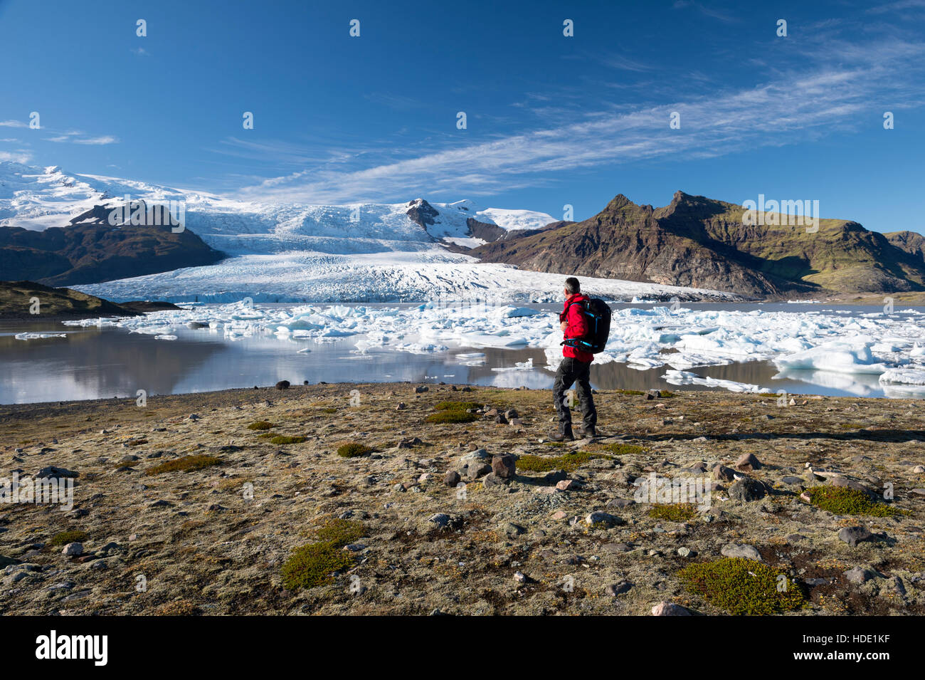 Adult male with backpack looking towards Fjallsarlon iceberg lagoon, beneath Fjallsjokull glacier, Sudhurland, Iceland. Stock Photo