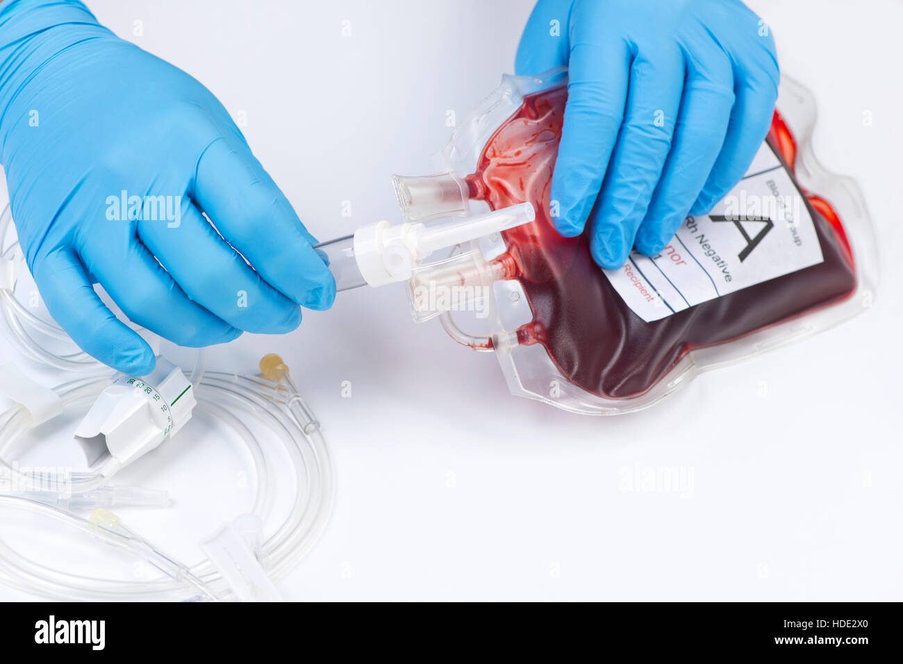 Nurse prepares IV blood transfusion bag. Stock Photo