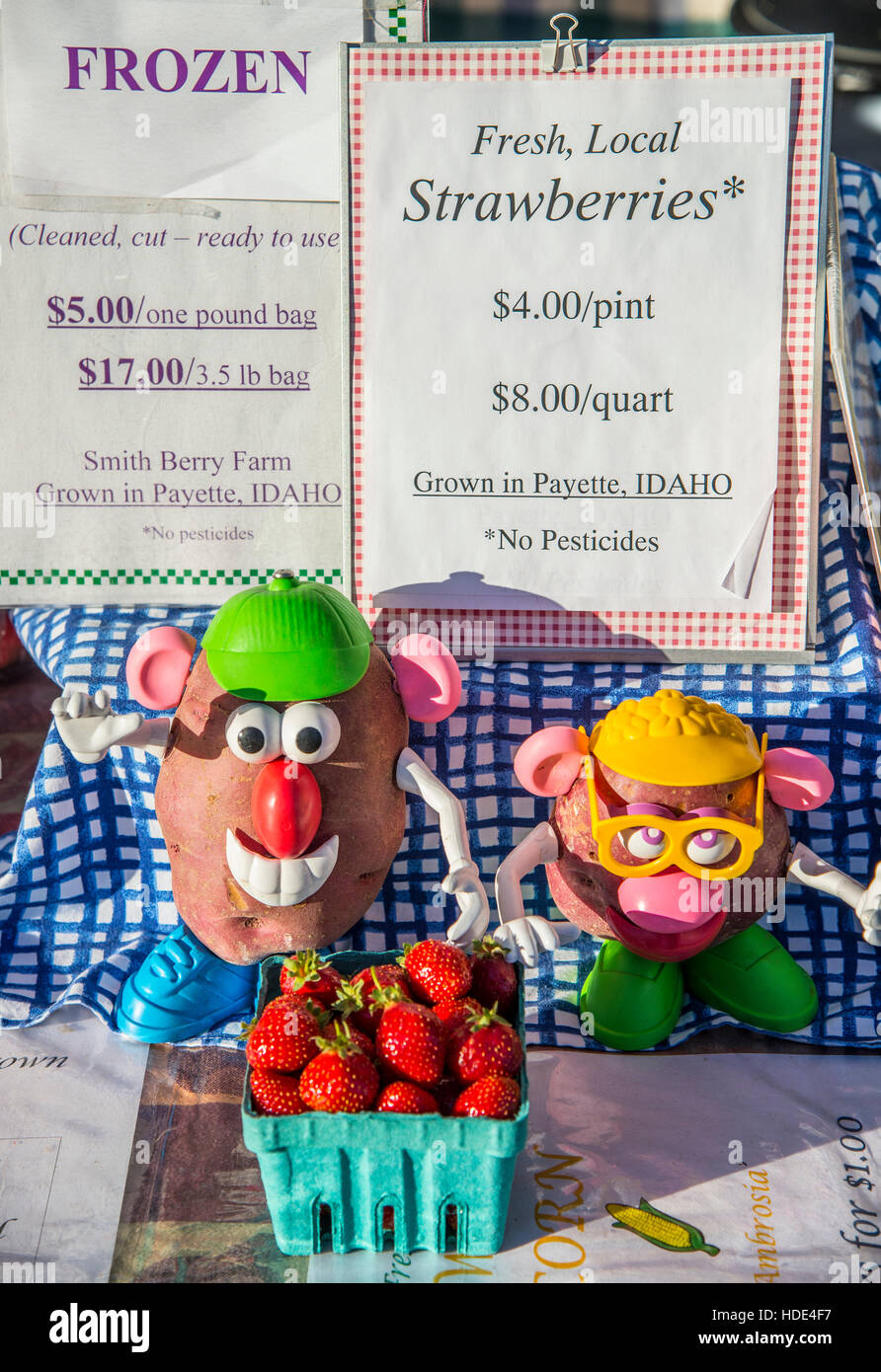 Boise Farmers Market Smith Strawberries, Downtown, Boise, Idaho Stock