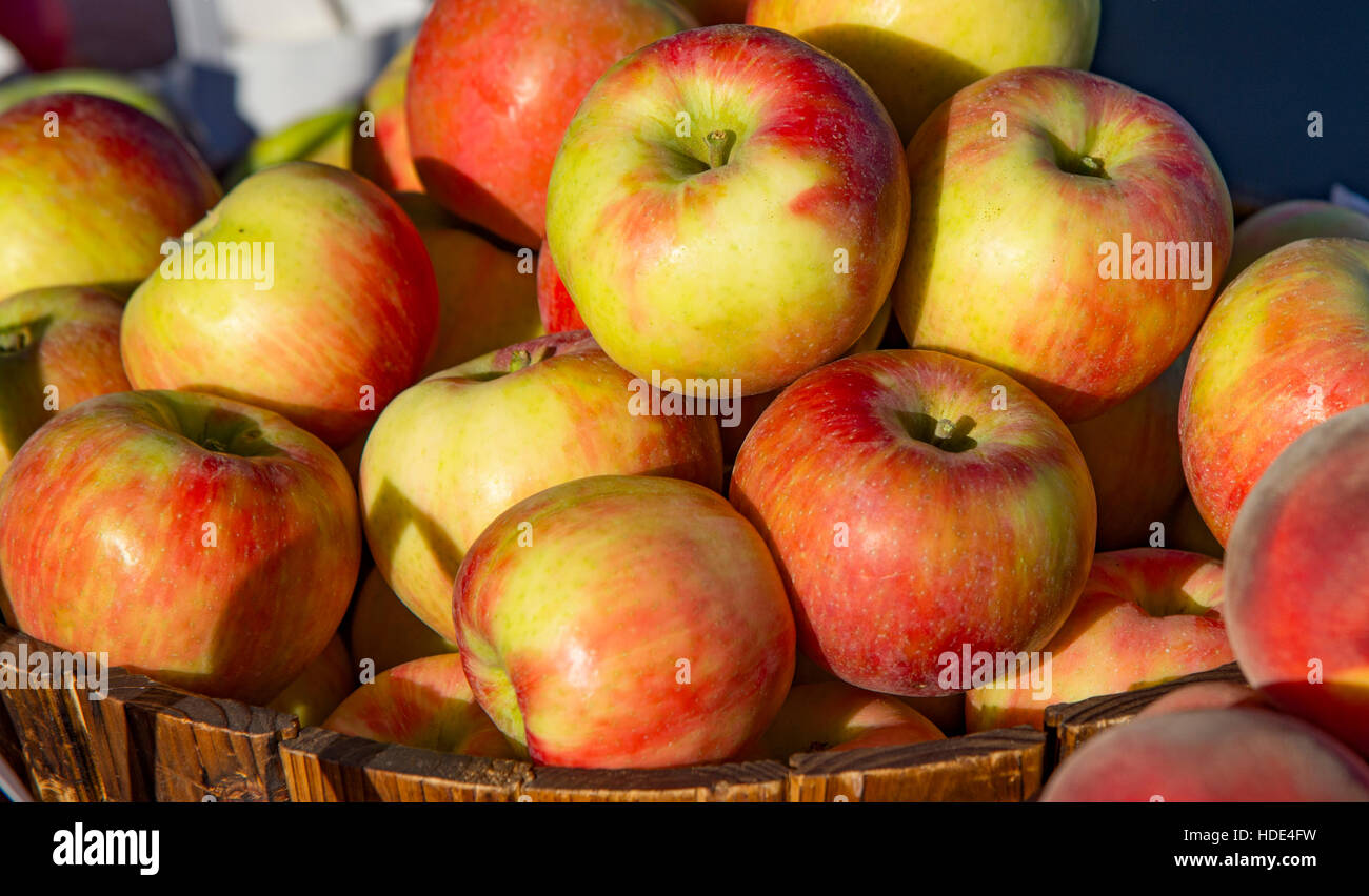 Boise farmers market, freshly picked apples for sale, Downtown Boise, Idaho, USA Stock Photo
