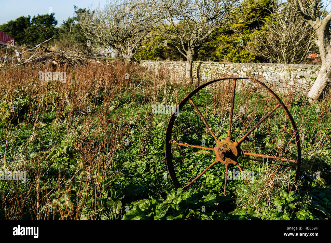A piece of rusty, old and disused farm equipment in an overgrown field in Ireland. Stock Photo