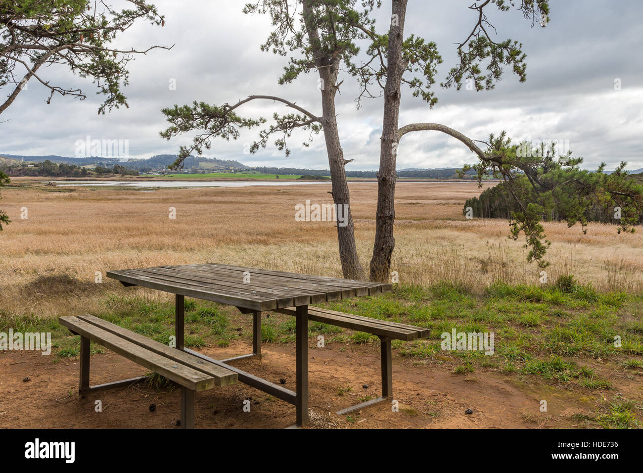 Picnic table on Tamar Island offering a scenic view over the Tamar Island Wetlands and Tamar river Stock Photo
