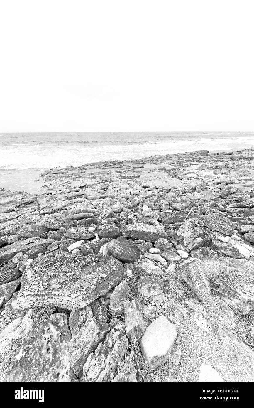 blur in south africa   sky ocean  isimagaliso reserve nature and rocks Stock Photo