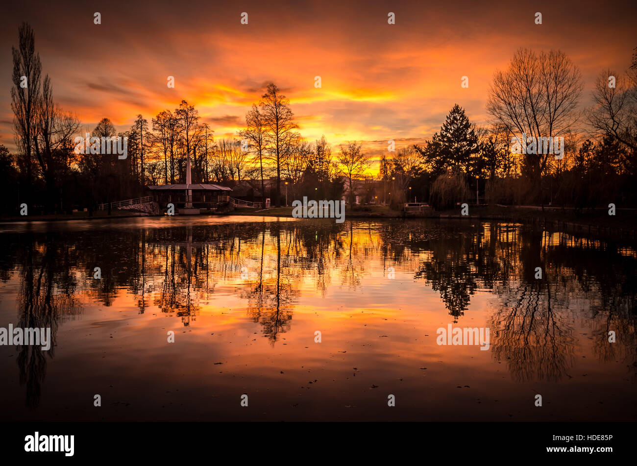 Forest lake at sunset hi-res stock photography and images - Alamy
