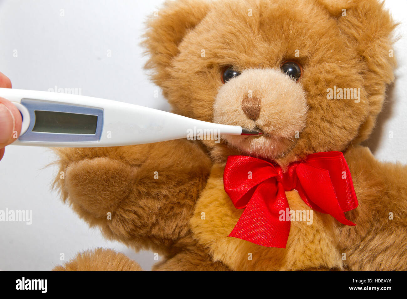 Teddy Bear with Clinical Thermometer Stock Photo