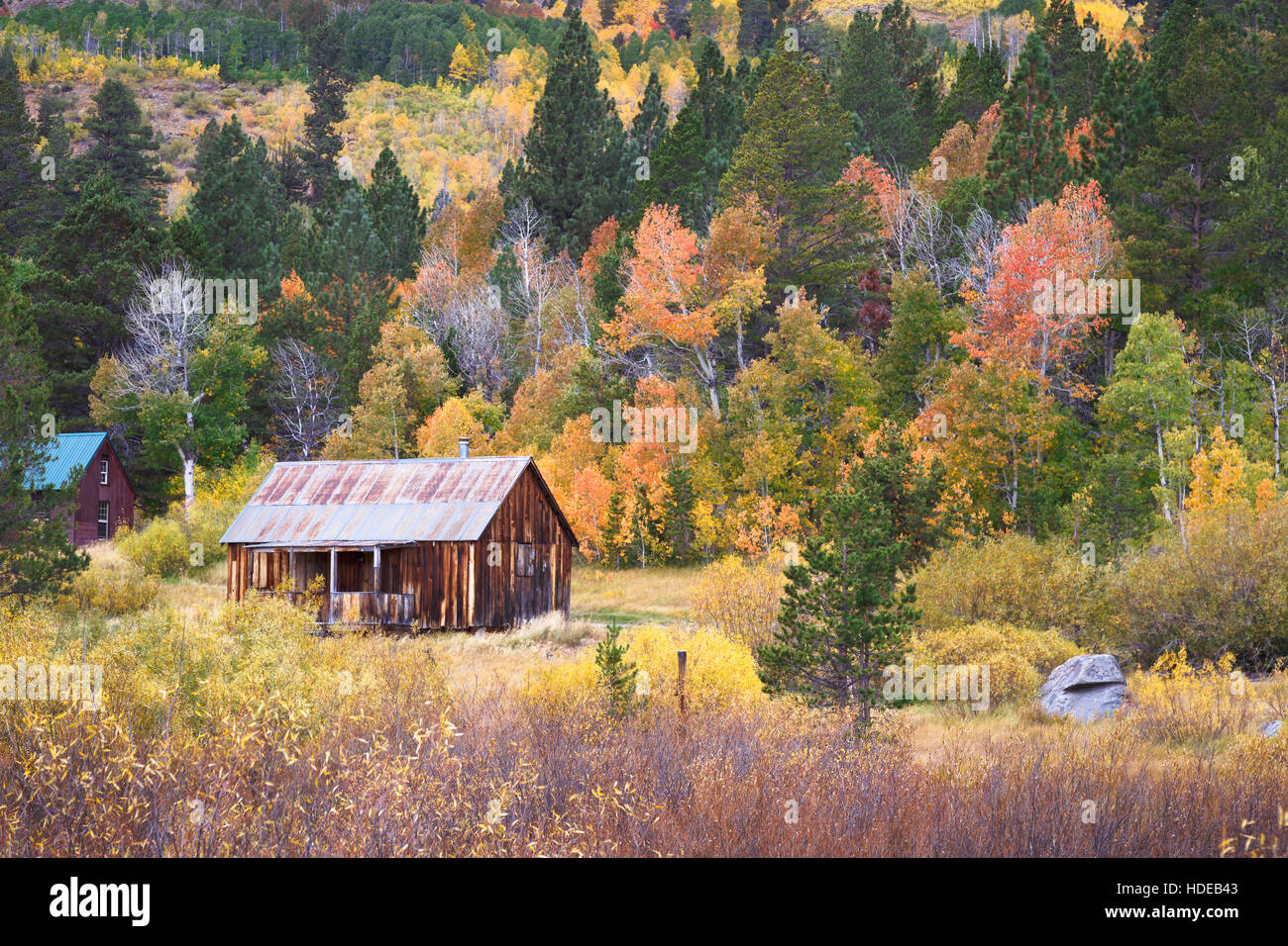 Rustic barn with fall colors in Hope Valley, California Stock Photo Alamy