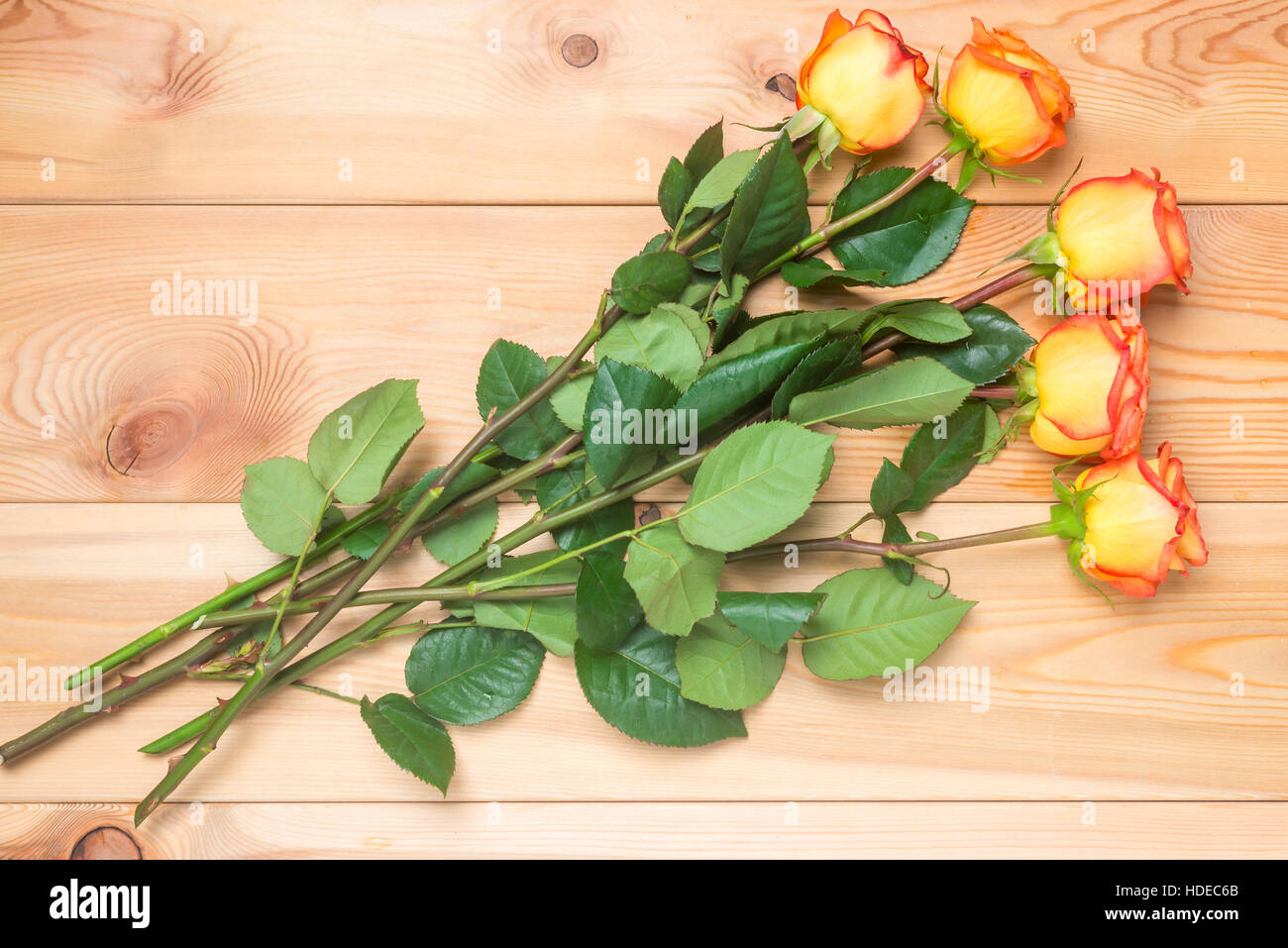 beautiful bouquet of five roses lying on wooden boards Stock Photo