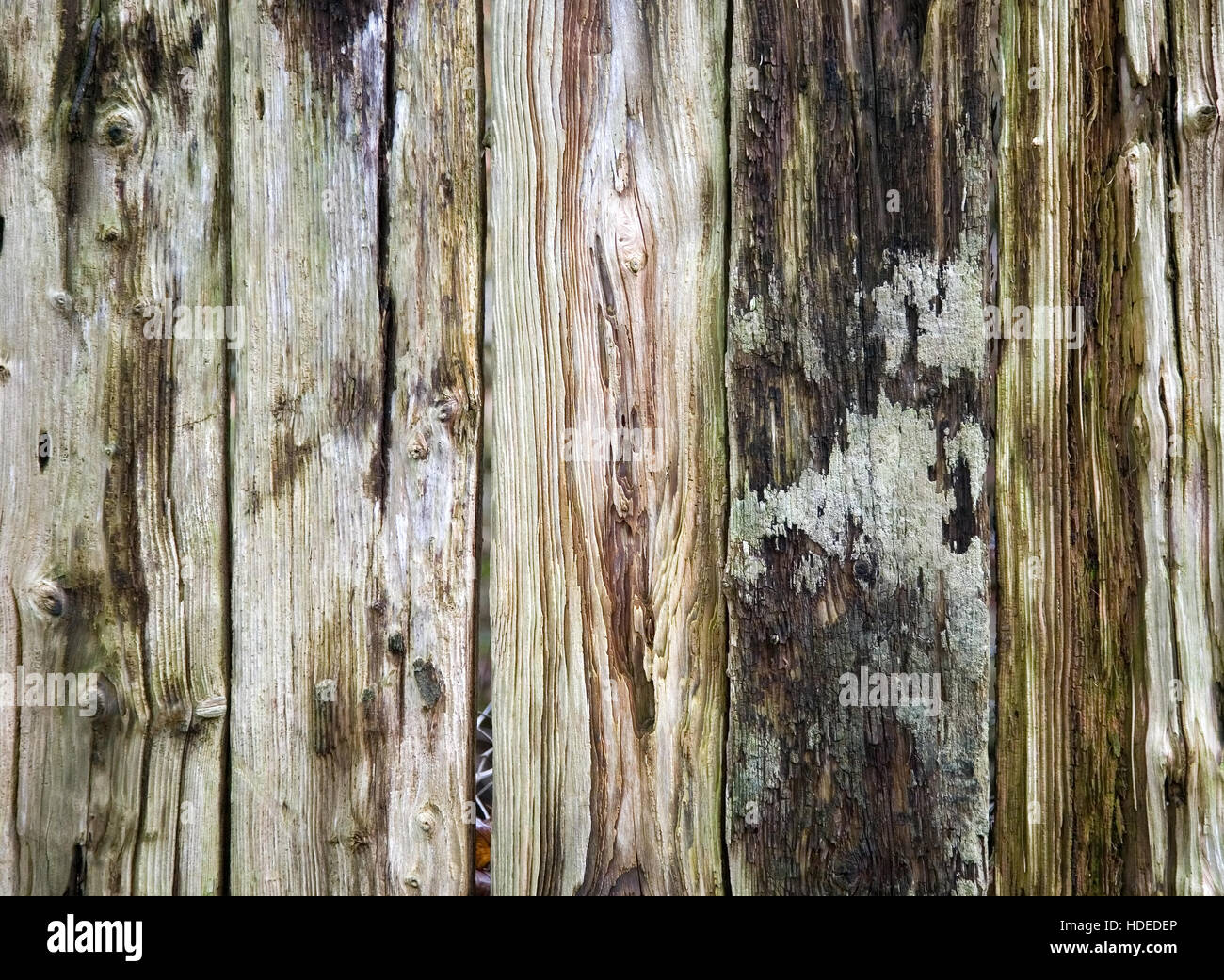 Wooden texture of wood composition, background image Stock Photo