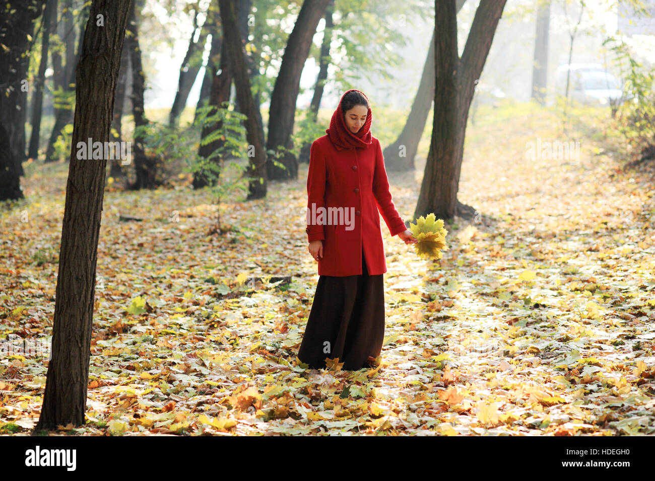 Beautiful young girl walking in autumn park Stock Photo - Alamy