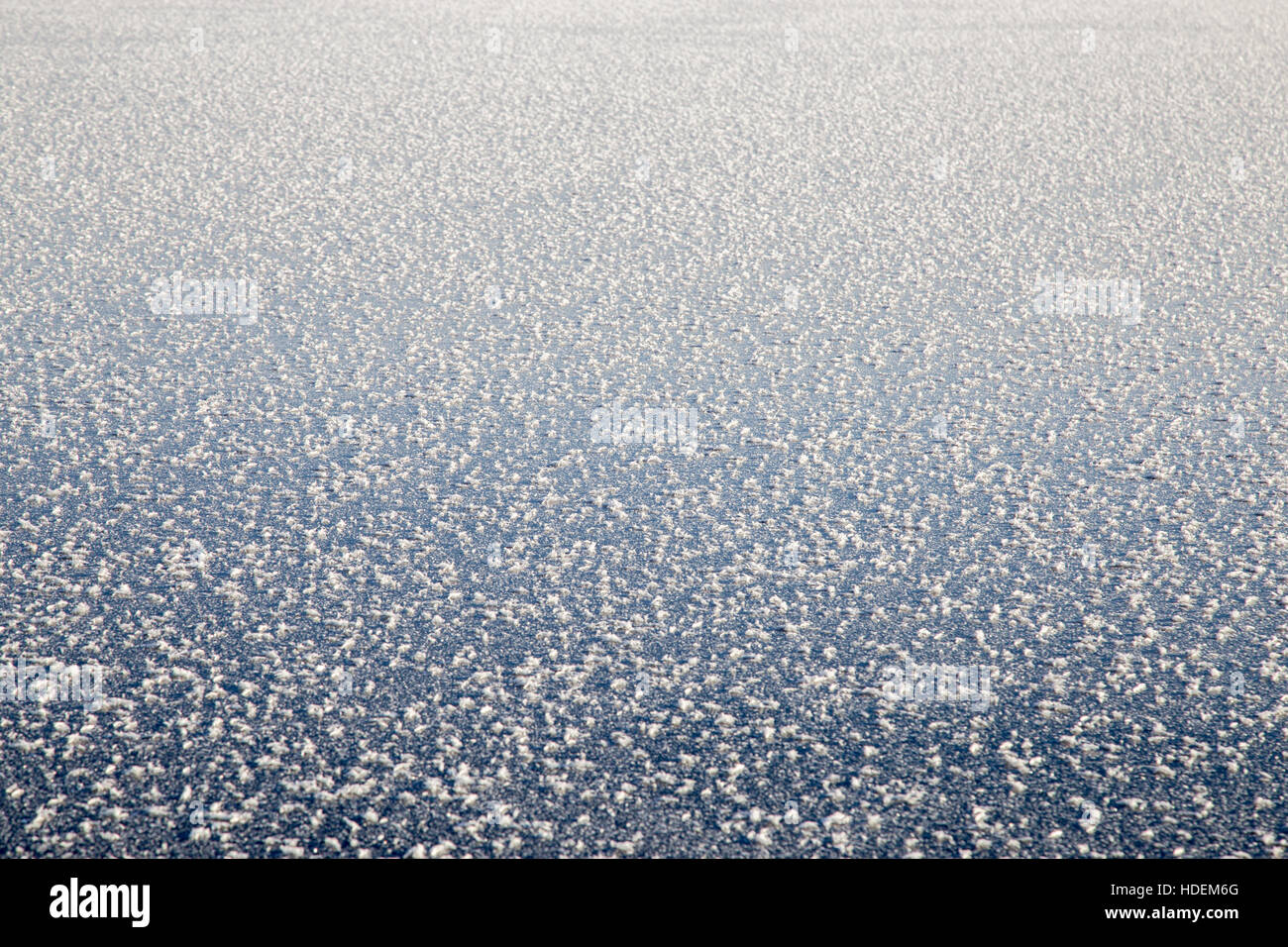 background of fresh snow Stock Photo - Alamy