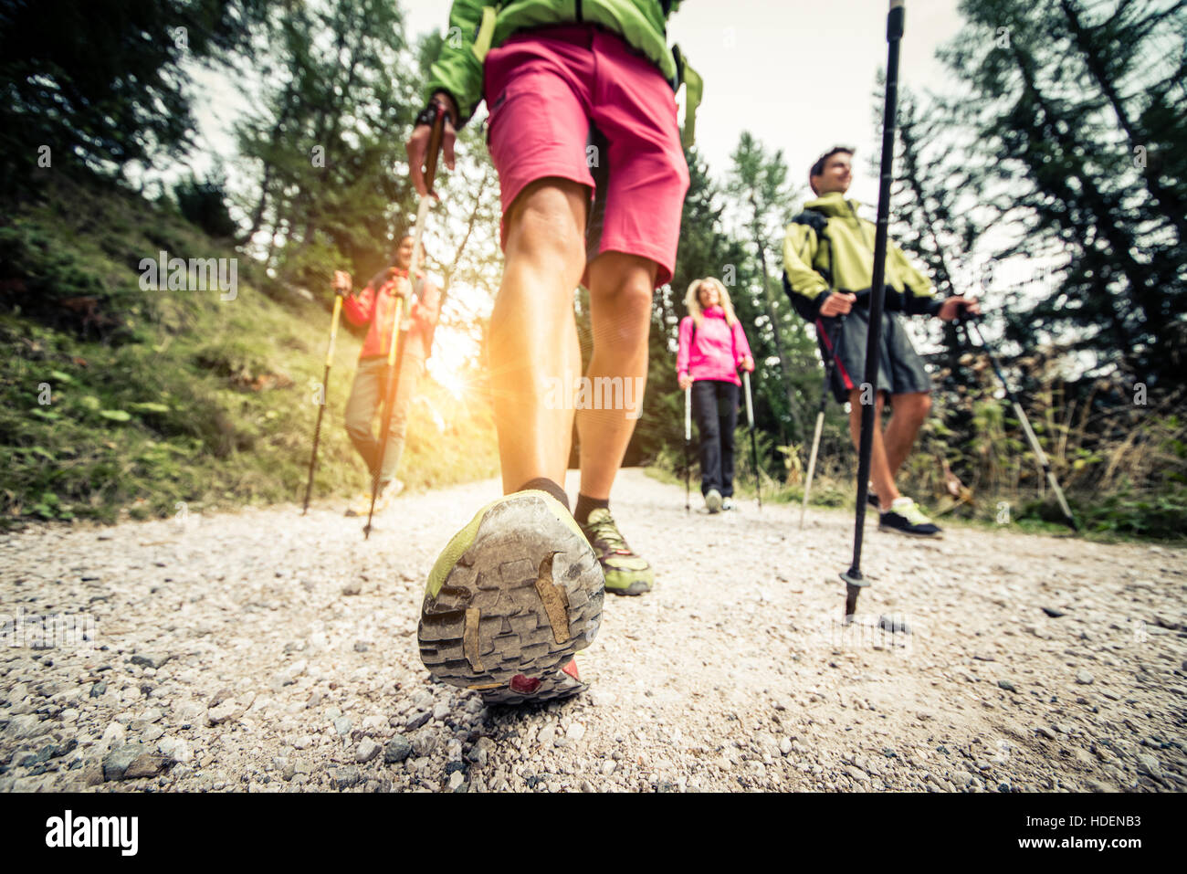 Group of hikers with backpacks and sticks walking on a mountain at ...