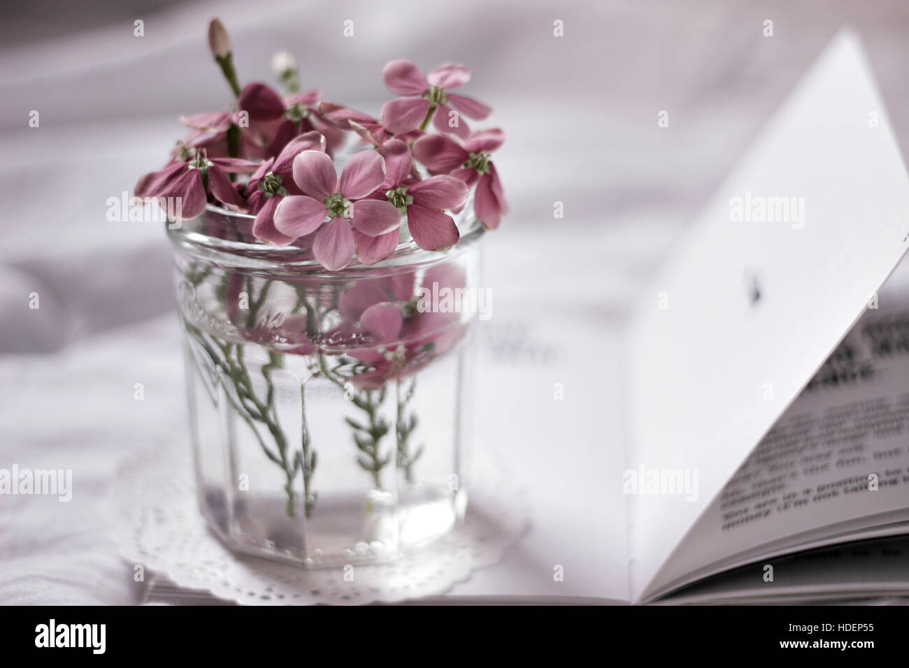 Rose in a Jar Stock Photo - Alamy