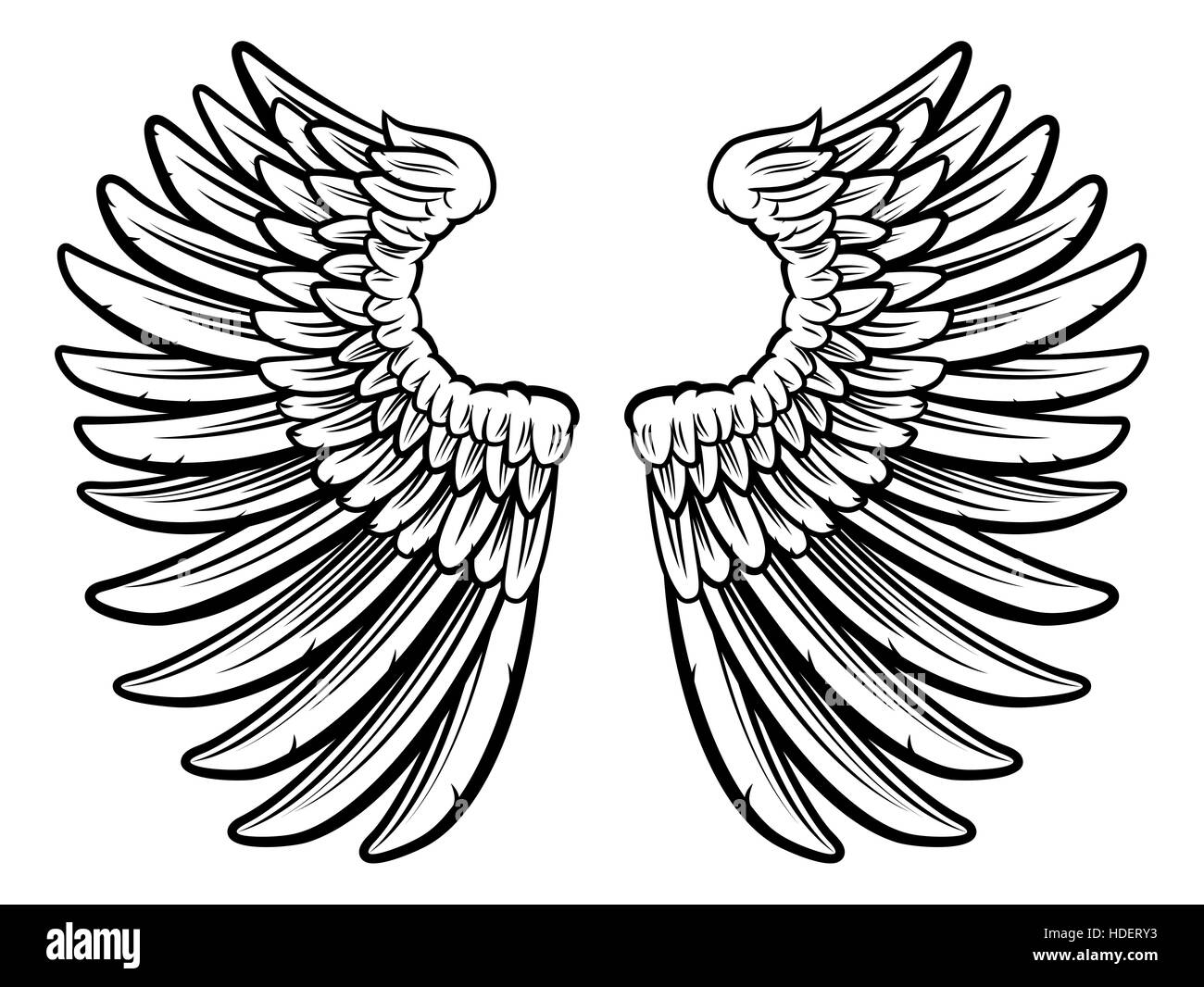 Set of spread out  eagle bird or angel wings Stock Photo