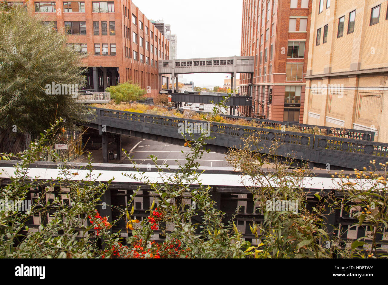 High Line park, Chelsea, New York City, United States of America. Stock Photo