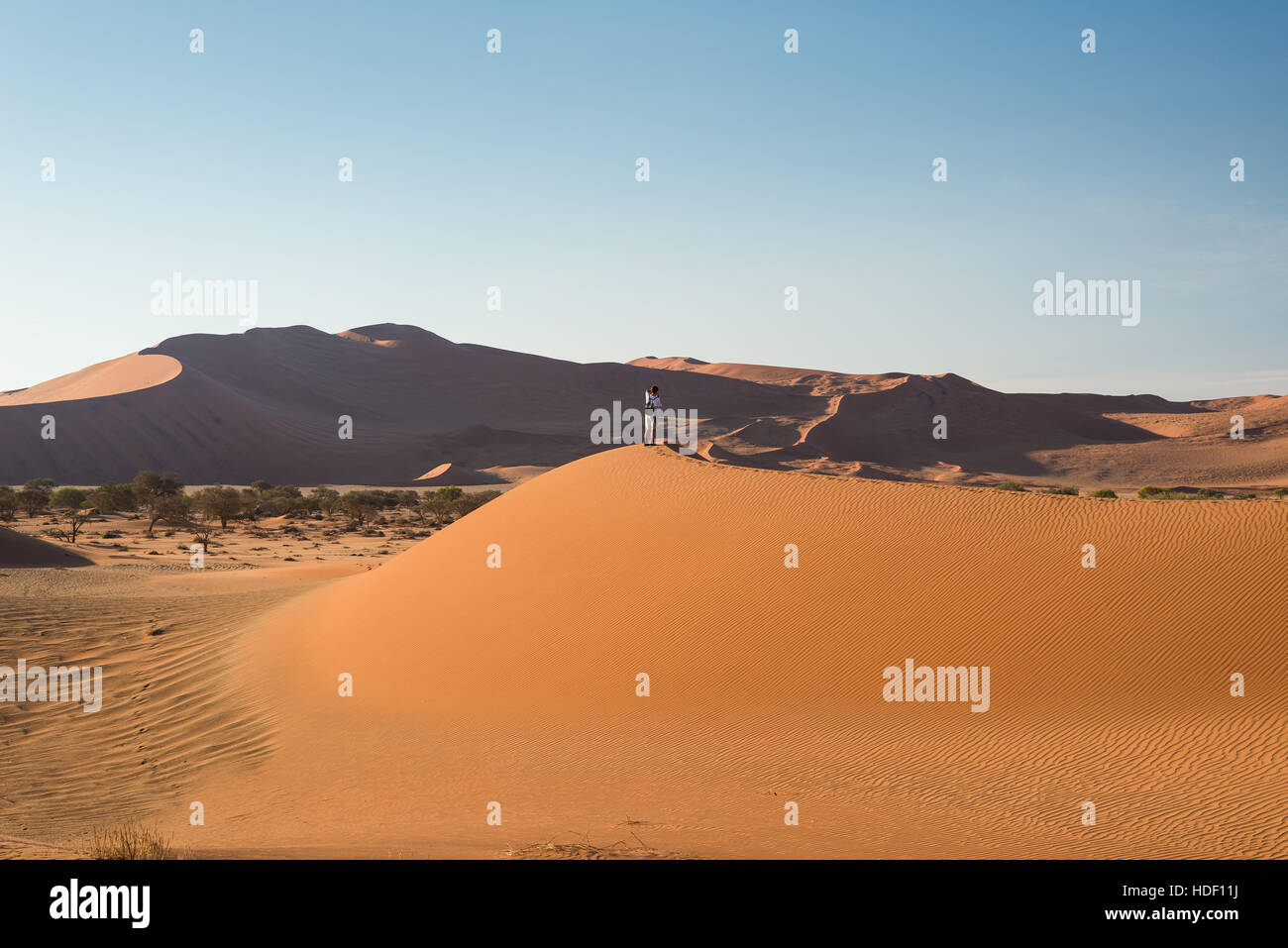 Scenic ridges of sand dunes in Sossusvlei, Namib Naukluft National Park ...