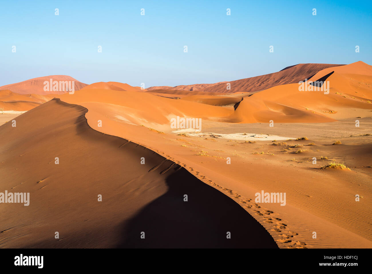 Scenic ridges of sand dunes in Sossusvlei, Namib Naukluft National Park ...