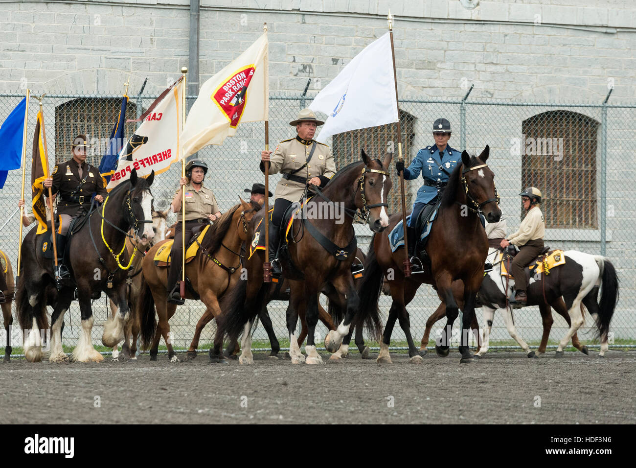 Mounted police horse Kingston Ontario Canada Stock Photo