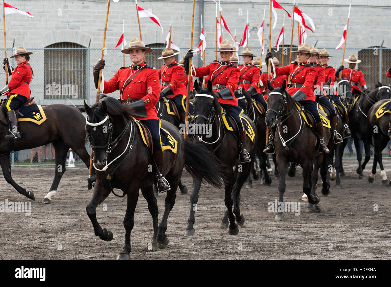 Royal Canadian Mounted Police Horse Ontario Canada Stock Photo