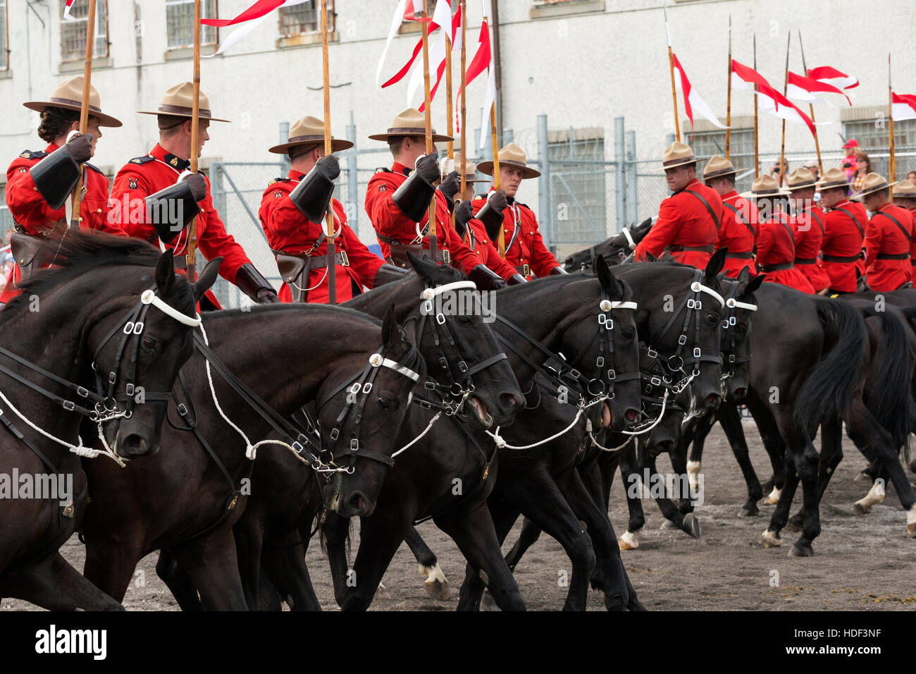 Royal Canadian Mounted Police Horse Ontario Canada Stock Photo