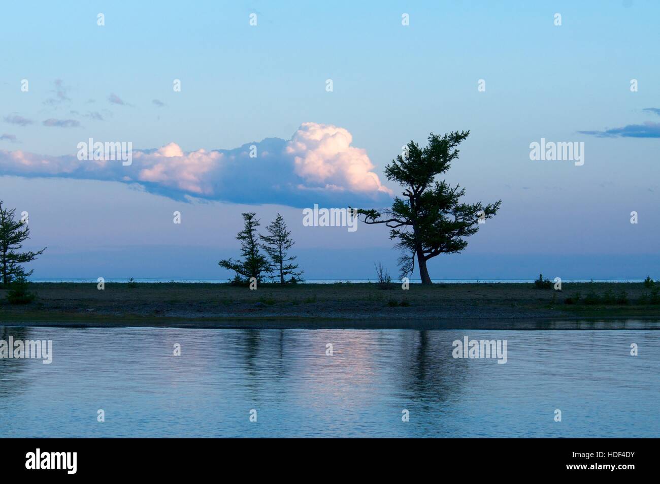 Silhouette of tree against blue sky background Stock Photo - Alamy