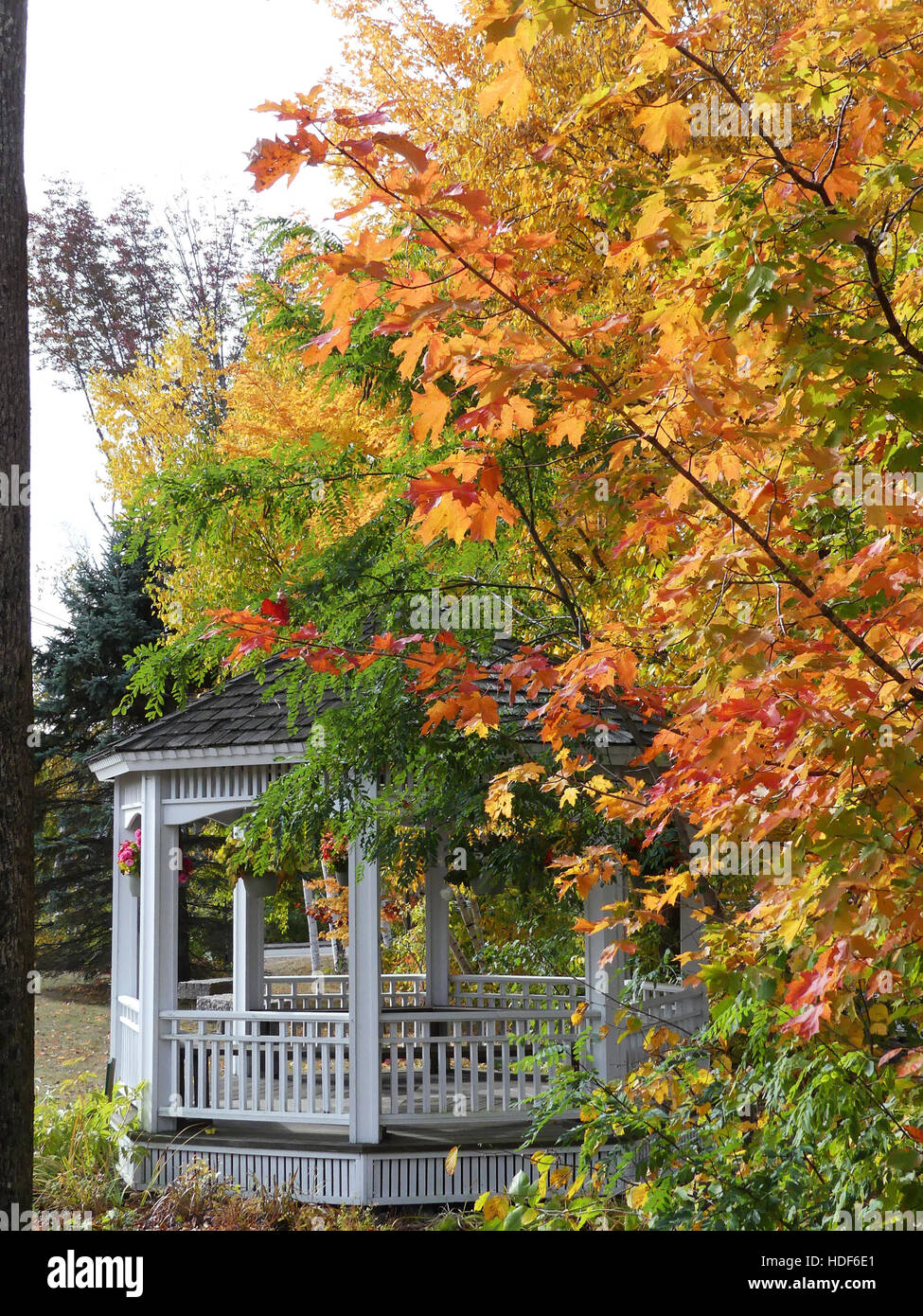 Jackson NH Bandstand Stock Photo Alamy