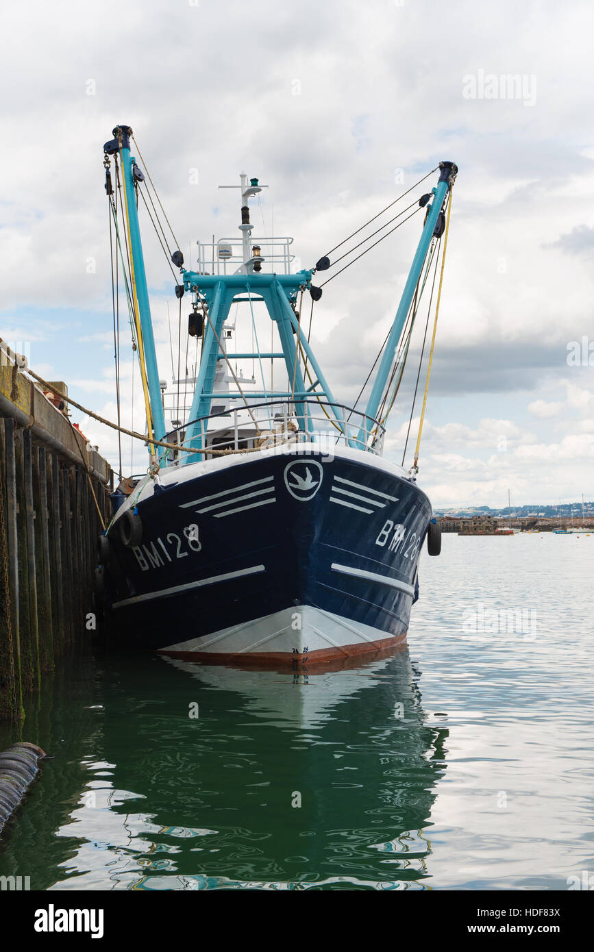 Boats of all types in the harbor. Fishing boats sail boats and pleasure