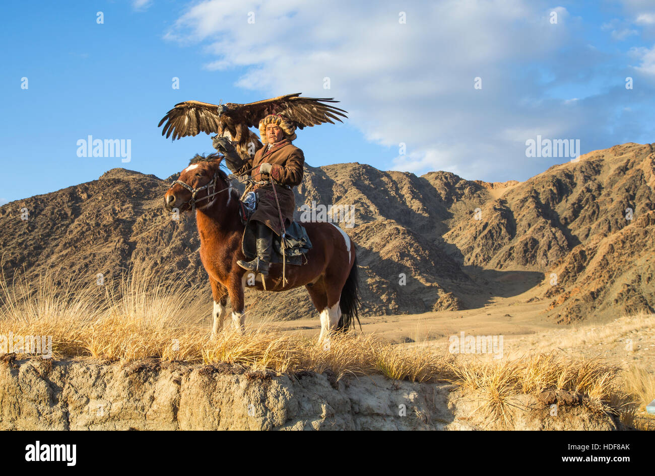 Bayan Ulgii, Mongolia, October 2nd, 2015: Old eagle hunter with his Altai Golden Eagle on his horse Stock Photo