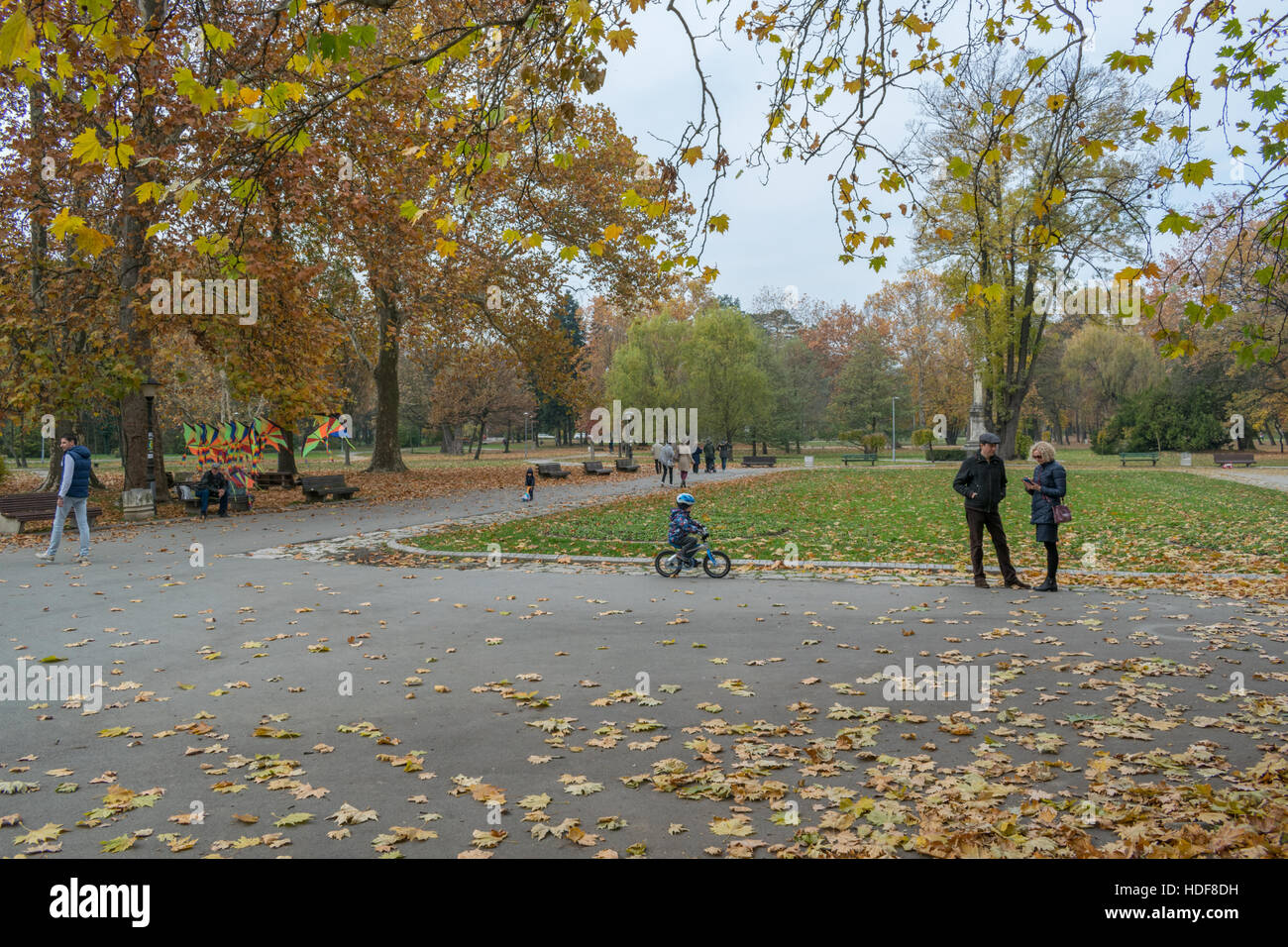 Autumn in the public park, Fallen leaves Stock Photo - Alamy
