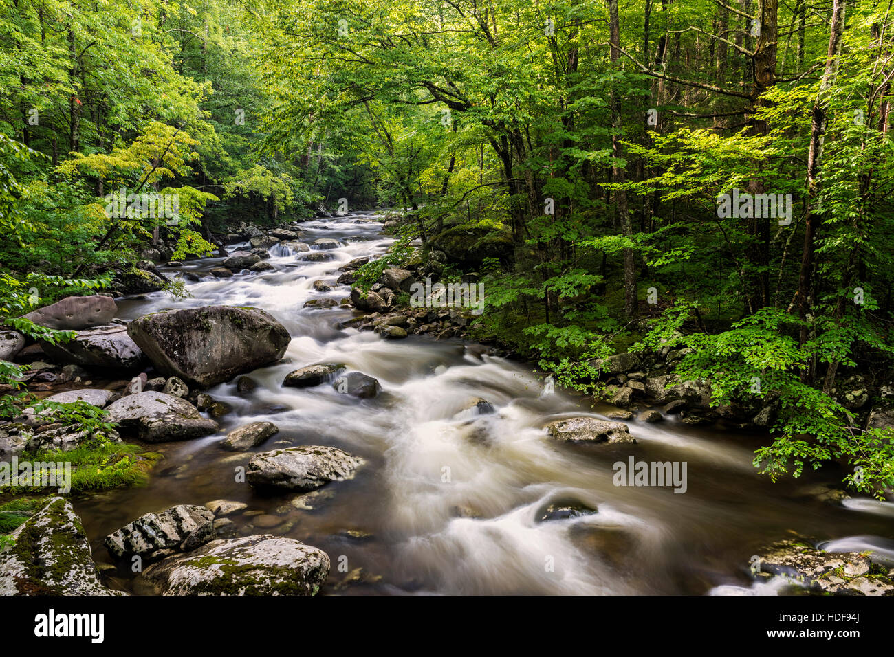 Middle Prong Little River in the Tremont area of the Great Smoky Mountains. Stock Photo