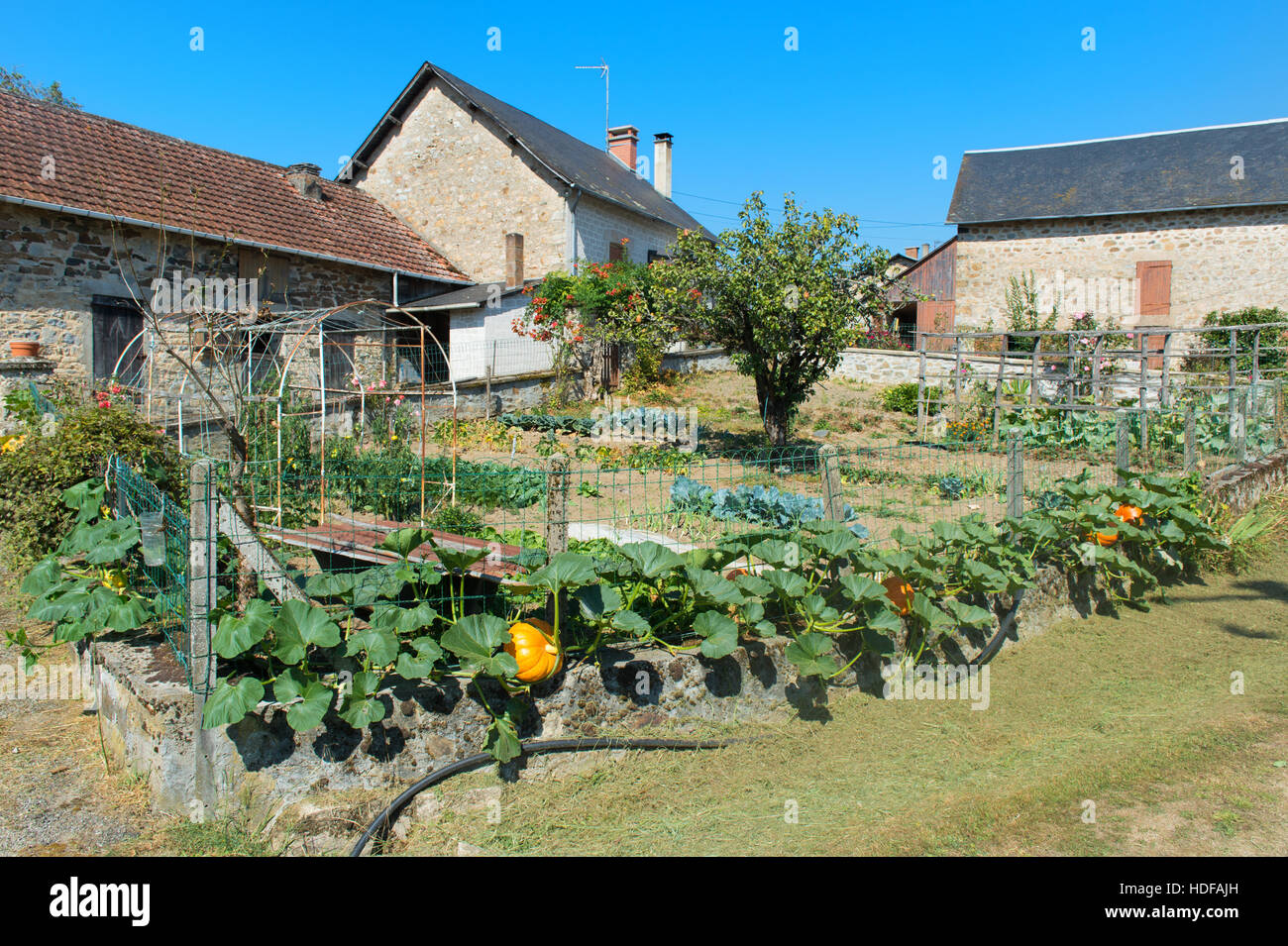 Vegetable garden in French village in the Limousin Stock Photo Alamy