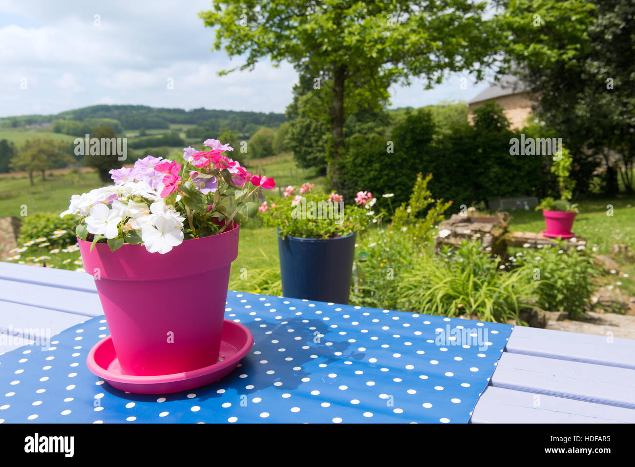 Flowers at the picnic table in French garden Stock Photo Alamy