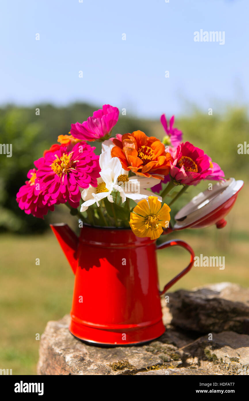 red vase garden flowers outdoor Stock Photo Alamy