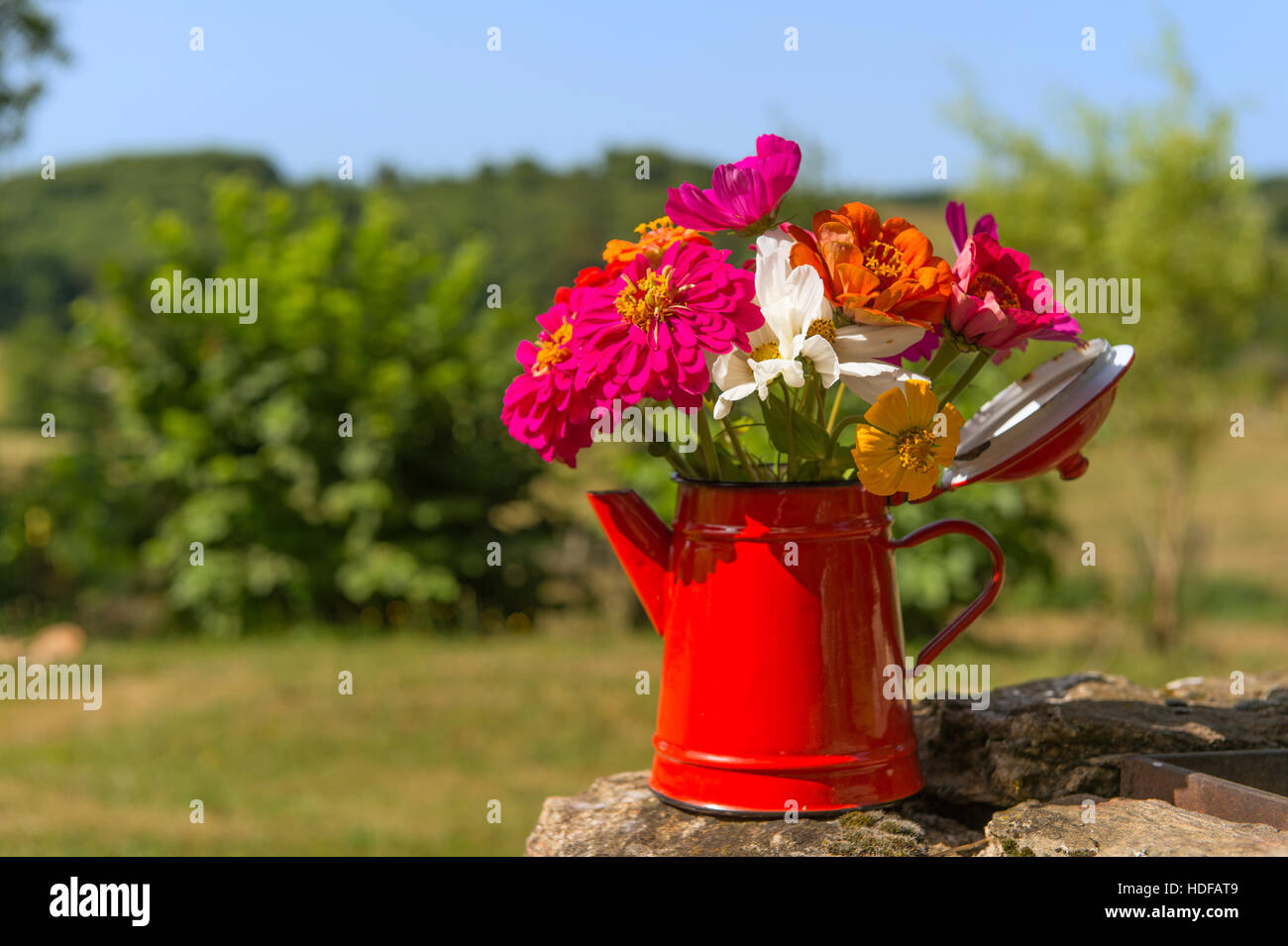 Teapot and flowers hires stock photography and images Alamy