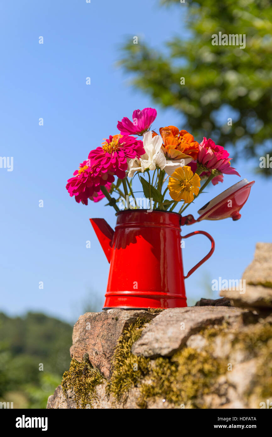 Bouquet garden flowers in red enamel tea pot Stock Photo