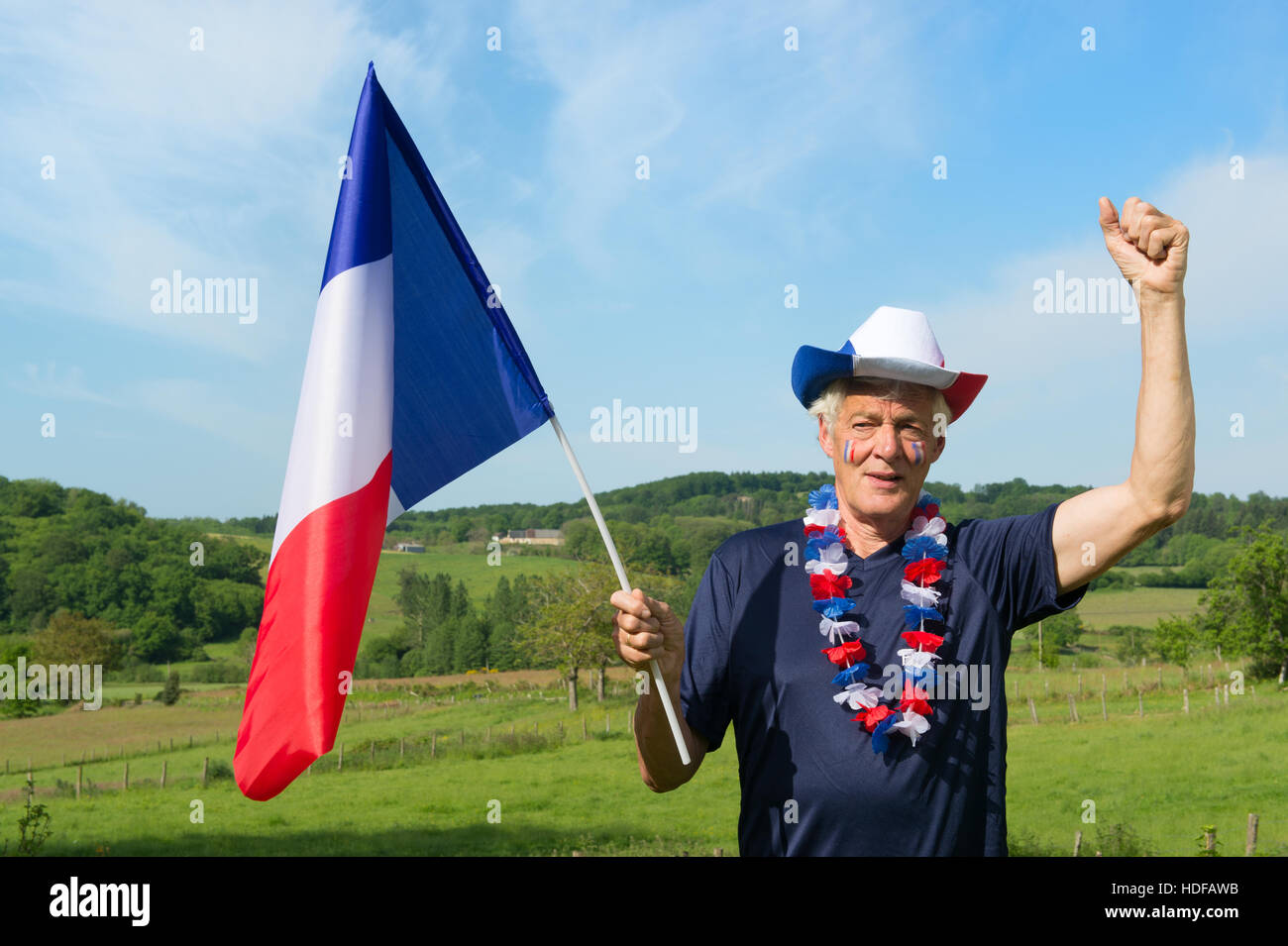 French soccer fan Stock Photo Alamy