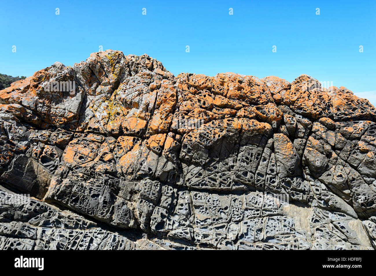Rock outcrop showing honeycombing and irregular weathering due to wetting and drying and salt spray, Quarry Beach, Mallacoota, Victoria, VIC,Australia Stock Photo