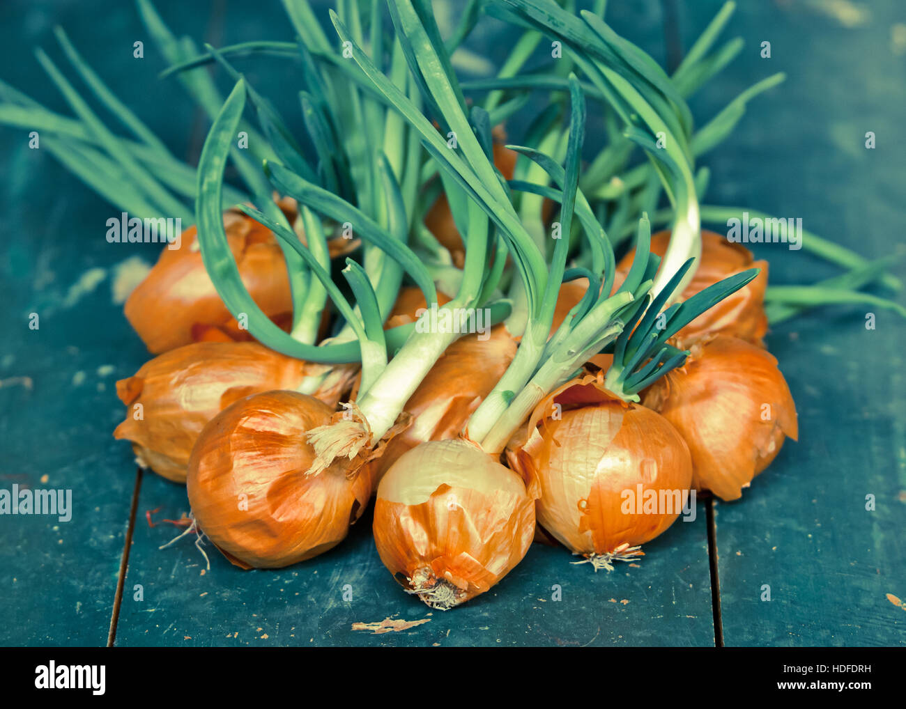 Pile of onions hi-res stock photography and images - Alamy
